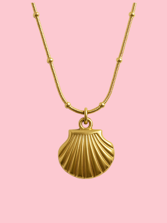 Shell