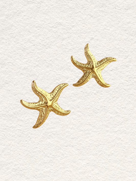 Starlit Coast