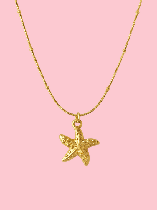 Star of the Show